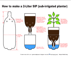 pot2