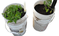 pot3